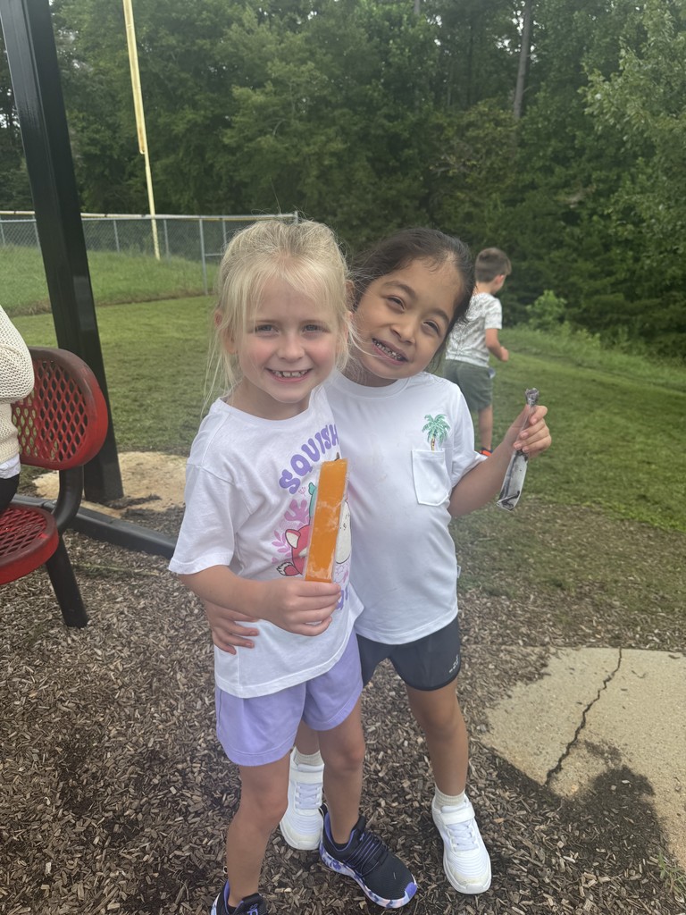 Popsicle Treat