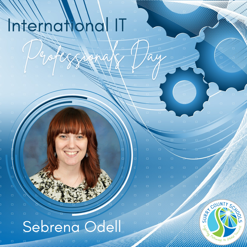 International IT Professionals Day