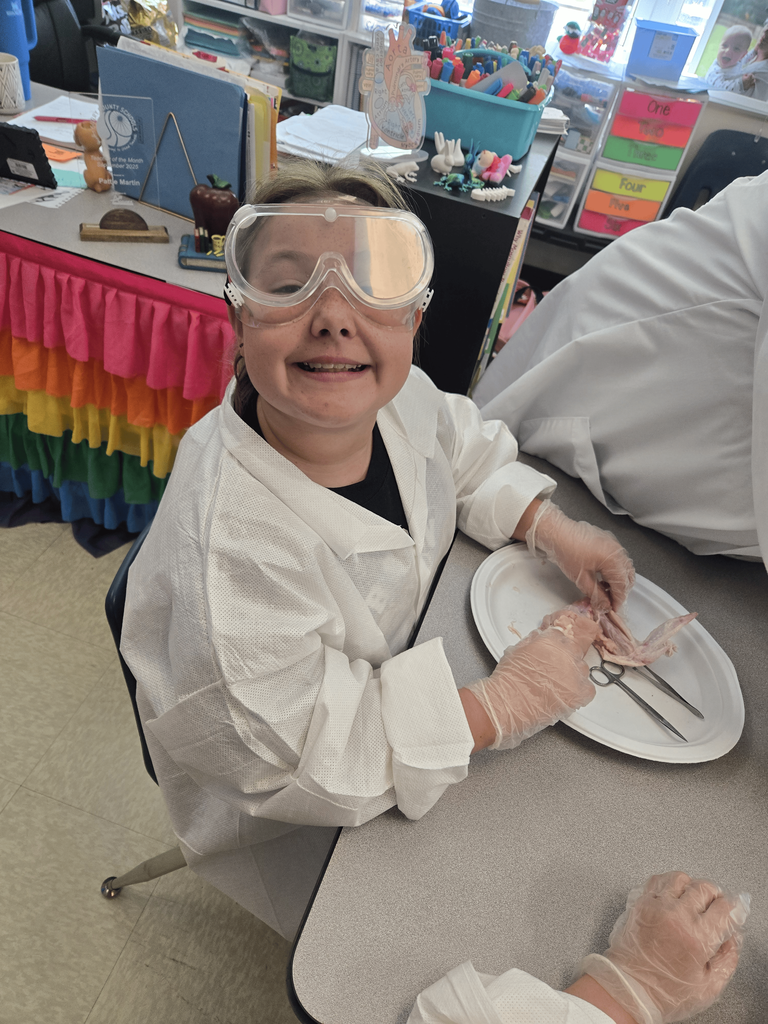 5th graders had an exciting hands-on science lesson today! They learned about how muscles work by dissecting chicken wings and observing how muscles, tendons, and bones function together.