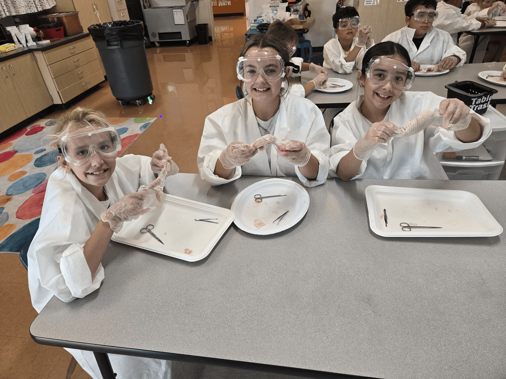 5th graders had an exciting hands-on science lesson today! They learned about how muscles work by dissecting chicken wings and observing how muscles, tendons, and bones function together.