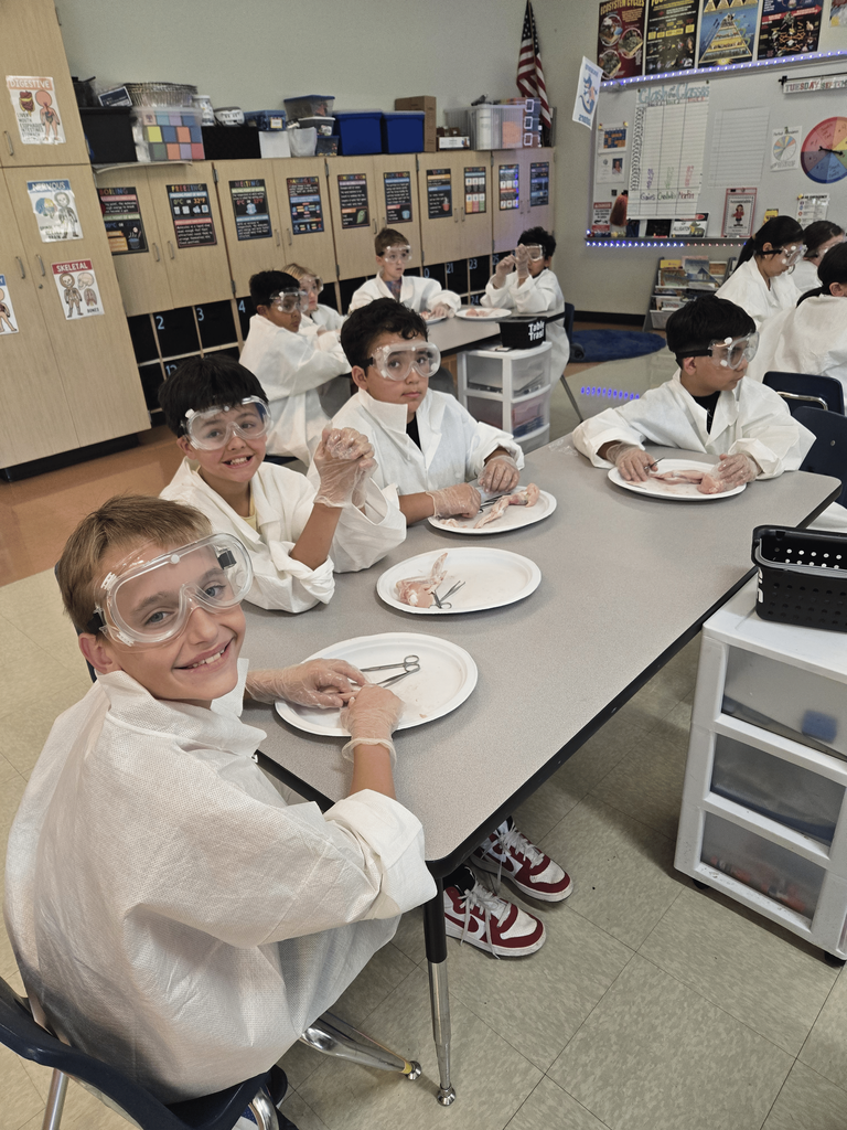 5th graders had an exciting hands-on science lesson today! They learned about how muscles work by dissecting chicken wings and observing how muscles, tendons, and bones function together.