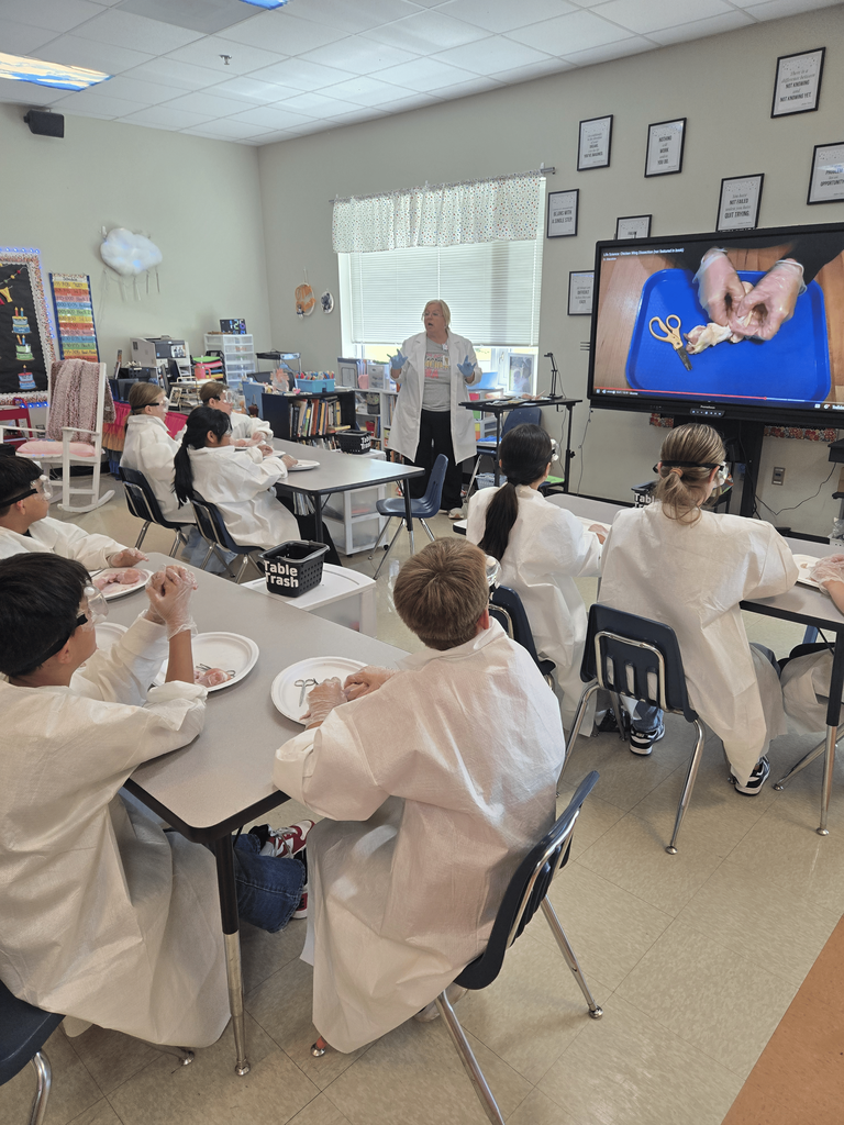 5th graders had an exciting hands-on science lesson today! They learned about how muscles work by dissecting chicken wings and observing how muscles, tendons, and bones function together.