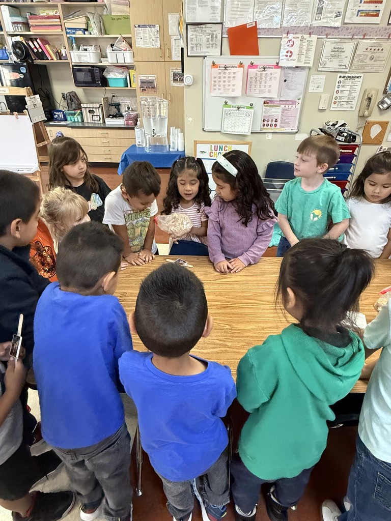 Pre K Science experiment