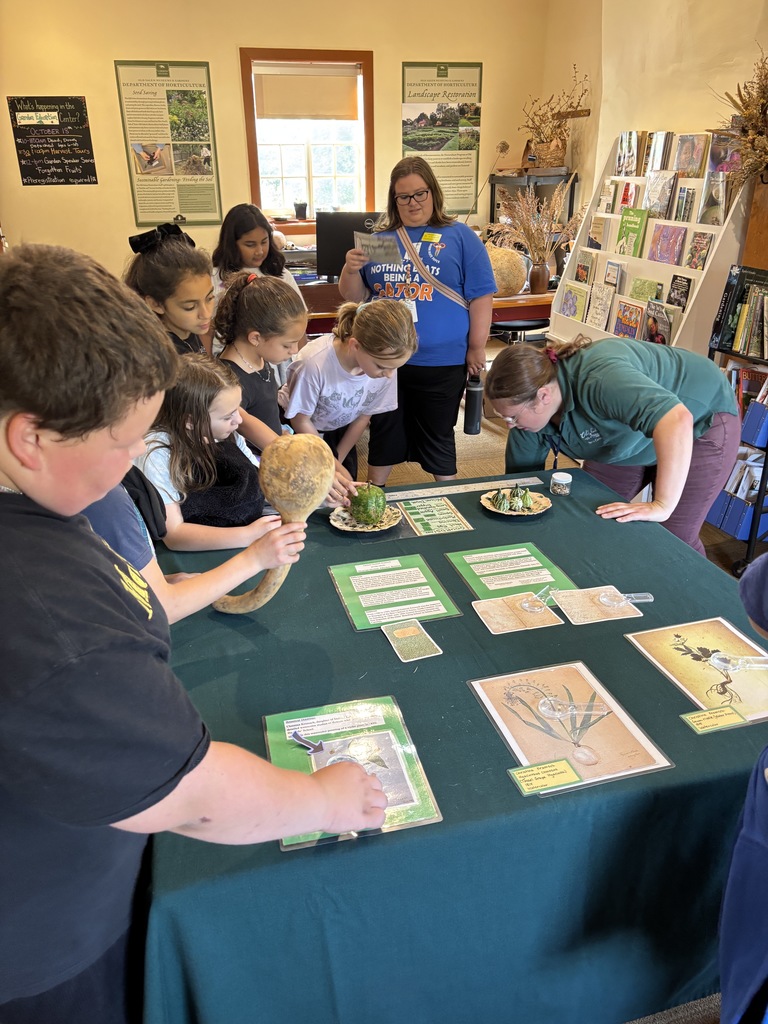 Old Salem 4th Grade Field Trip