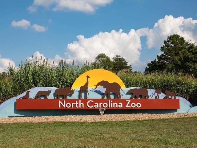 NC Zoo 2nd Grade Field Trip