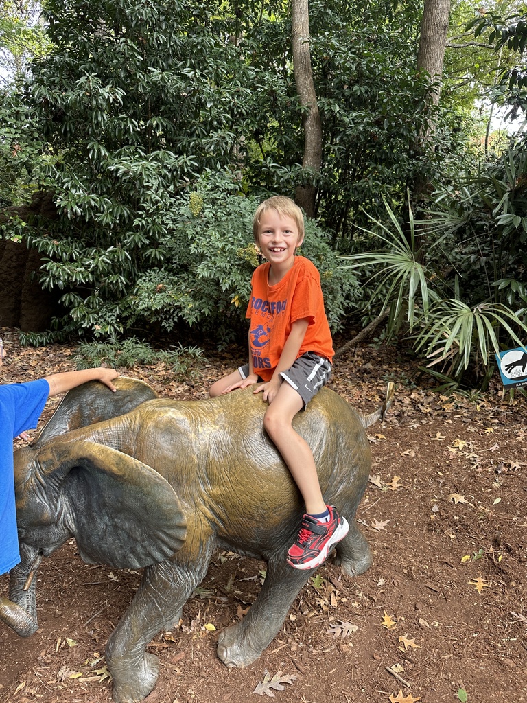 NC Zoo 2nd Grade Field Trip