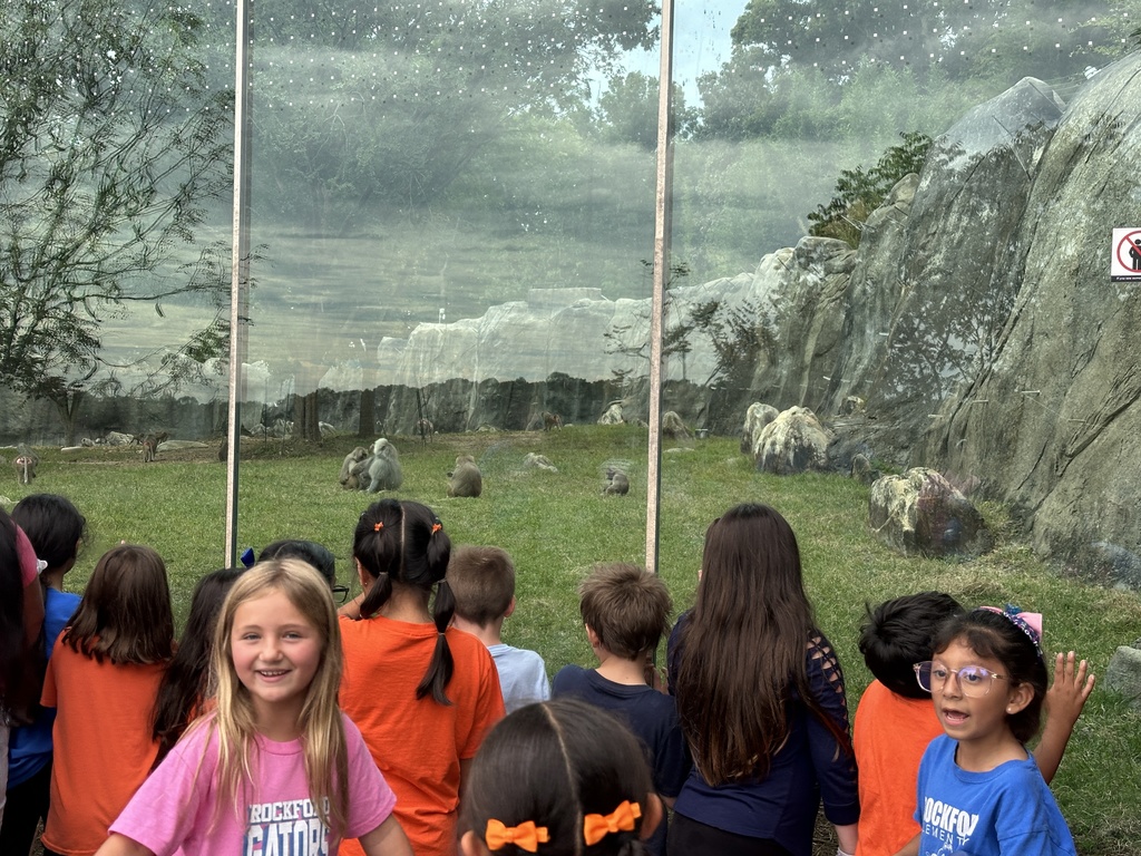 NC Zoo 2nd Grade Field Trip
