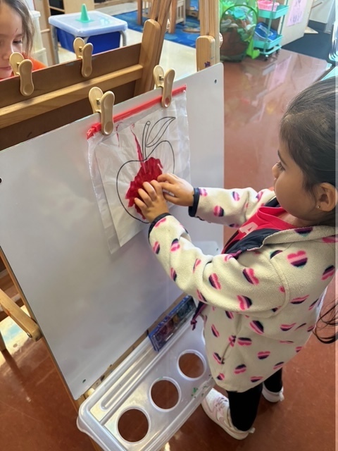 Pre-K finger painting apples