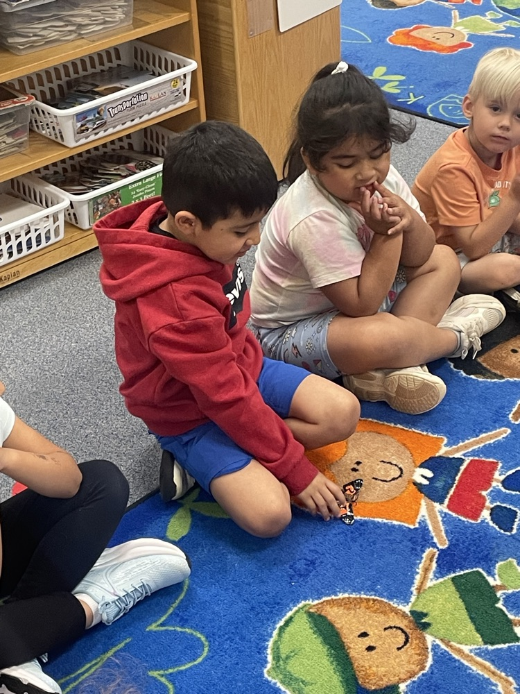 students learning about the life cycle of a butterfly