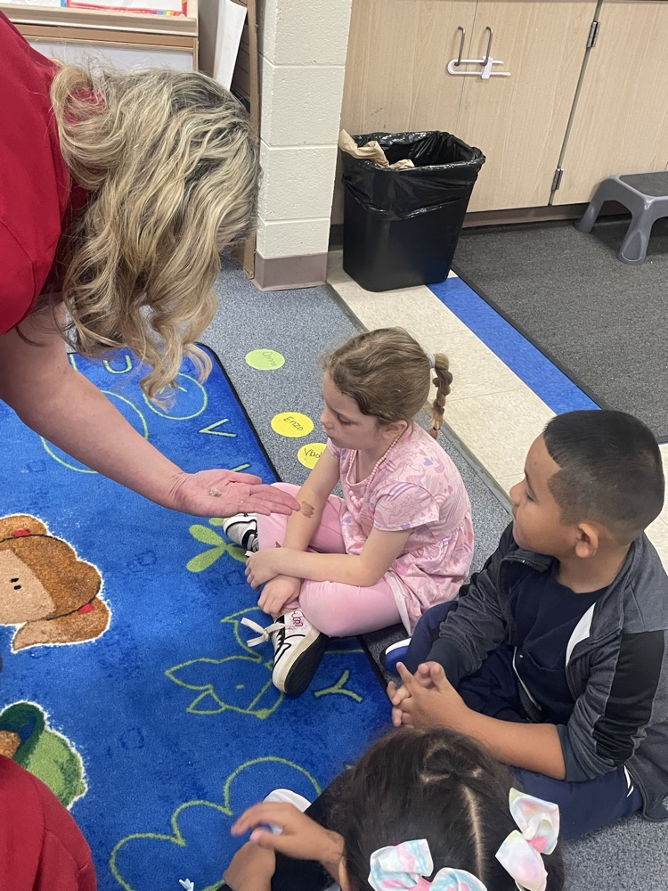 students learning about the life cycle of a butterfly