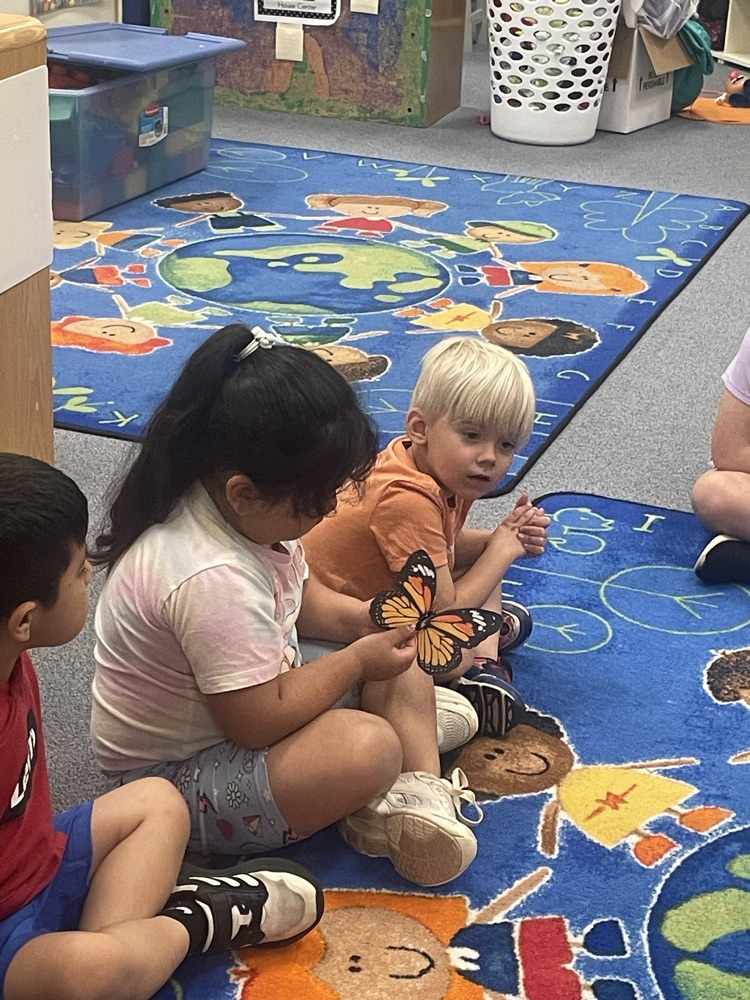 students learning about the life cycle of a butterfly