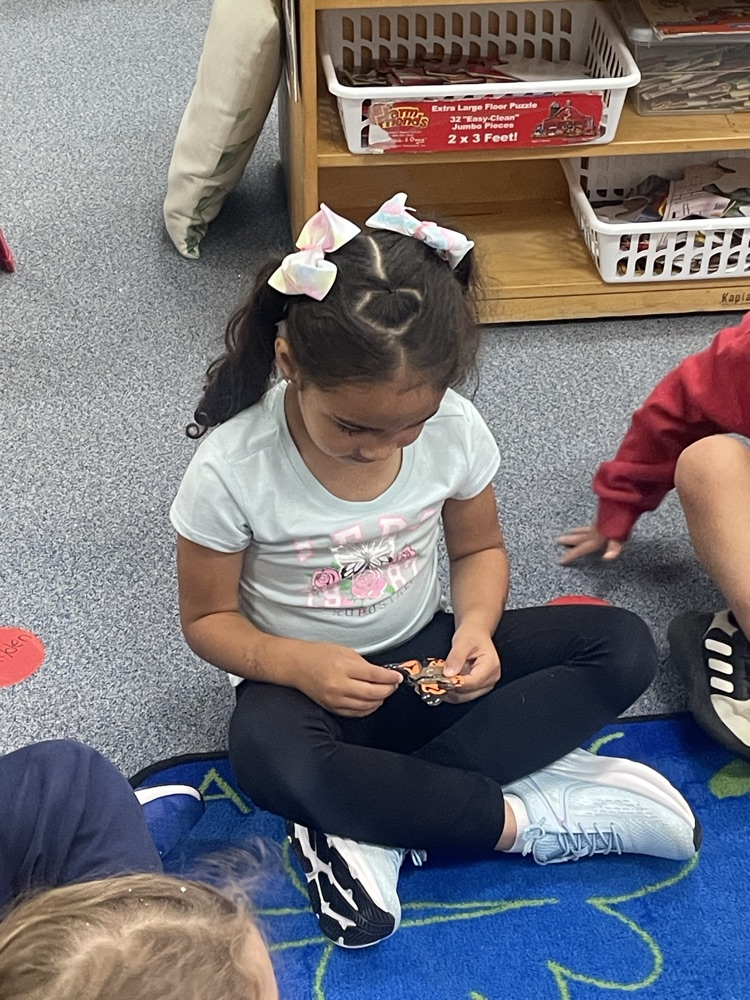 students learning about the life cycle of a butterfly