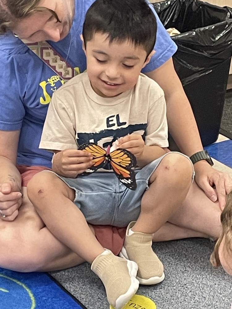 students learning about the life cycle of a butterfly