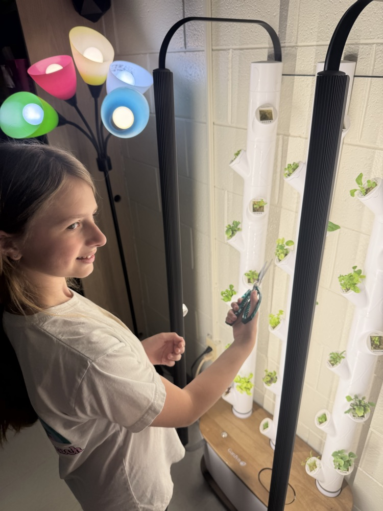 students trimming plants