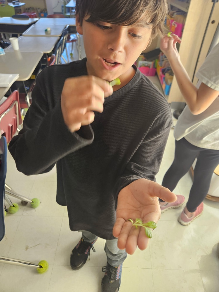student showing plant 