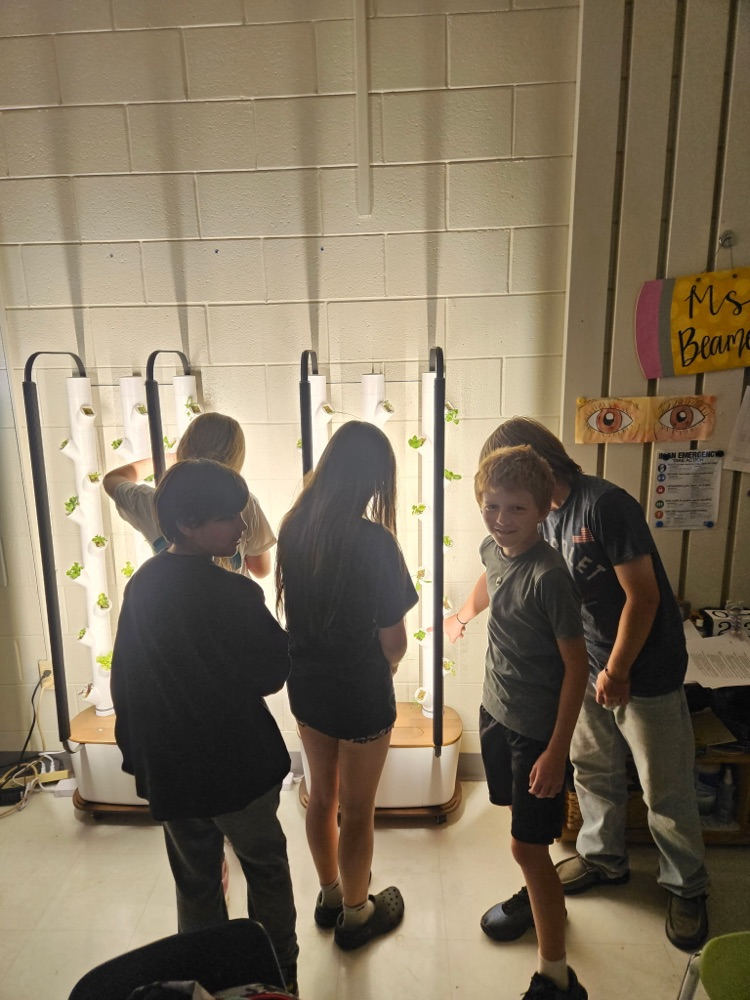 students trimming plants