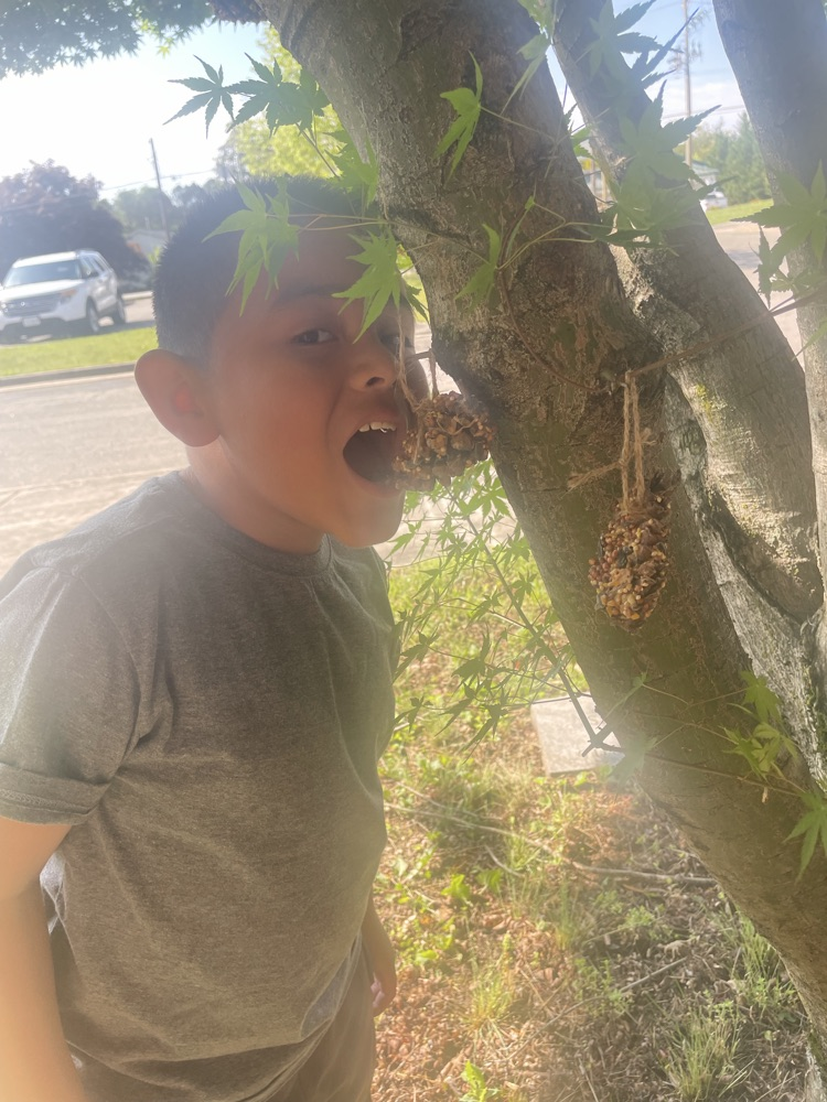 students hanging up their bird feeders 