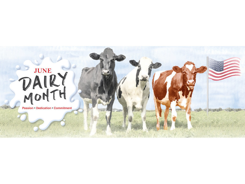 National Dairy Month is celebrated every June across the United States. Established in 1937, it recognizes the vital contributions of dairy farmers and highlights the nutritional benefits of milk, cheese, and yogurt.