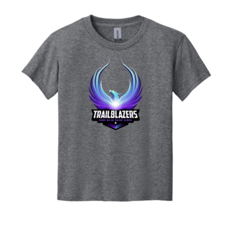 Grey T-Shirt - $15