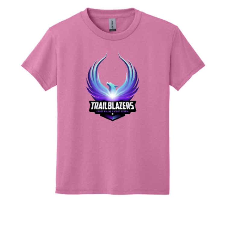Pink T-Shirt - $15