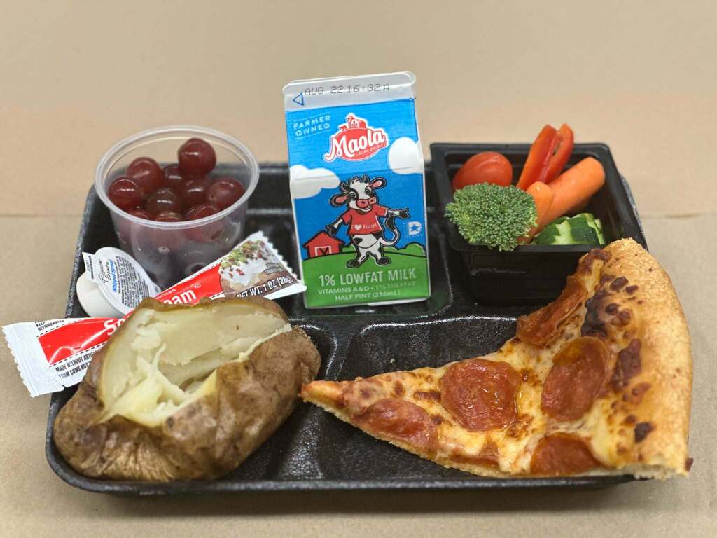 Lunch plate filled with pizza, veggies, milk, and potato