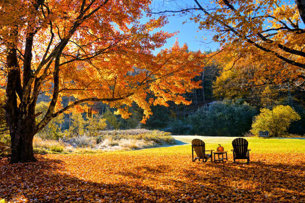  Happy First Day of Fall!   Today, September 22, marks the first day of fall!   We’re ready for cooler temperatures, colorful leaves, cozy days, and all the fun that comes with the new season!  Wishing our Rockford Gators a wonderful first day of fall!   Hello, Fall! 