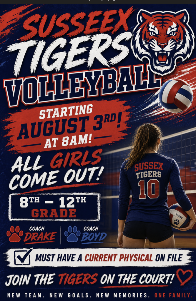 Volleyball 2026