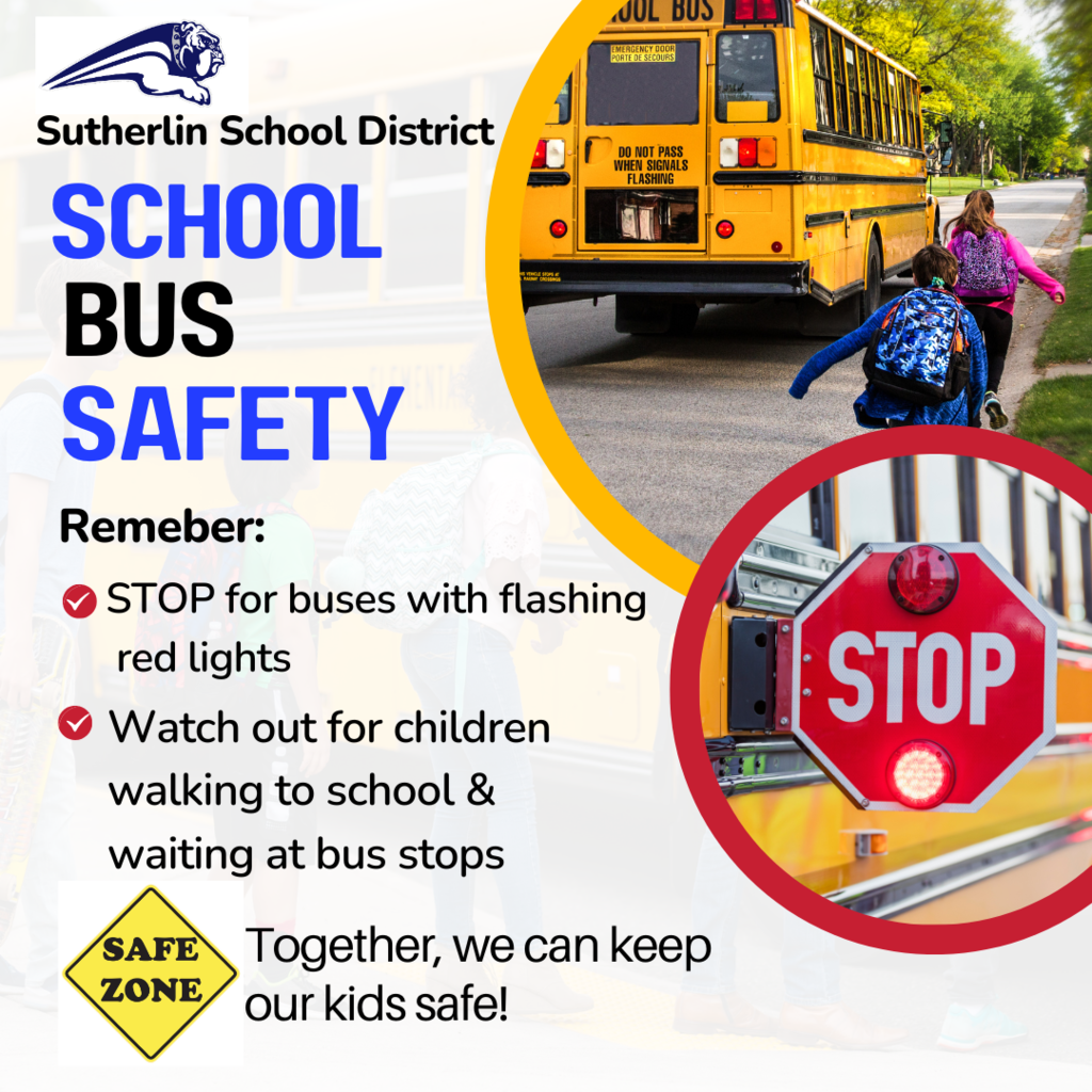 Bus safety - stop for buses