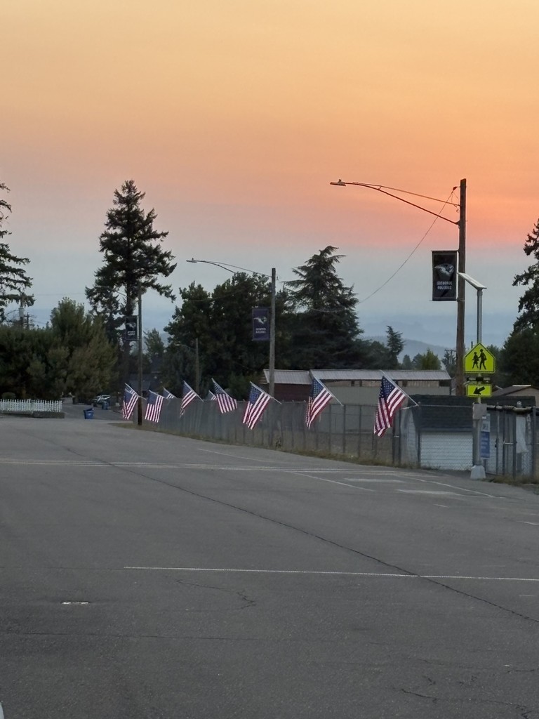 Flag 2