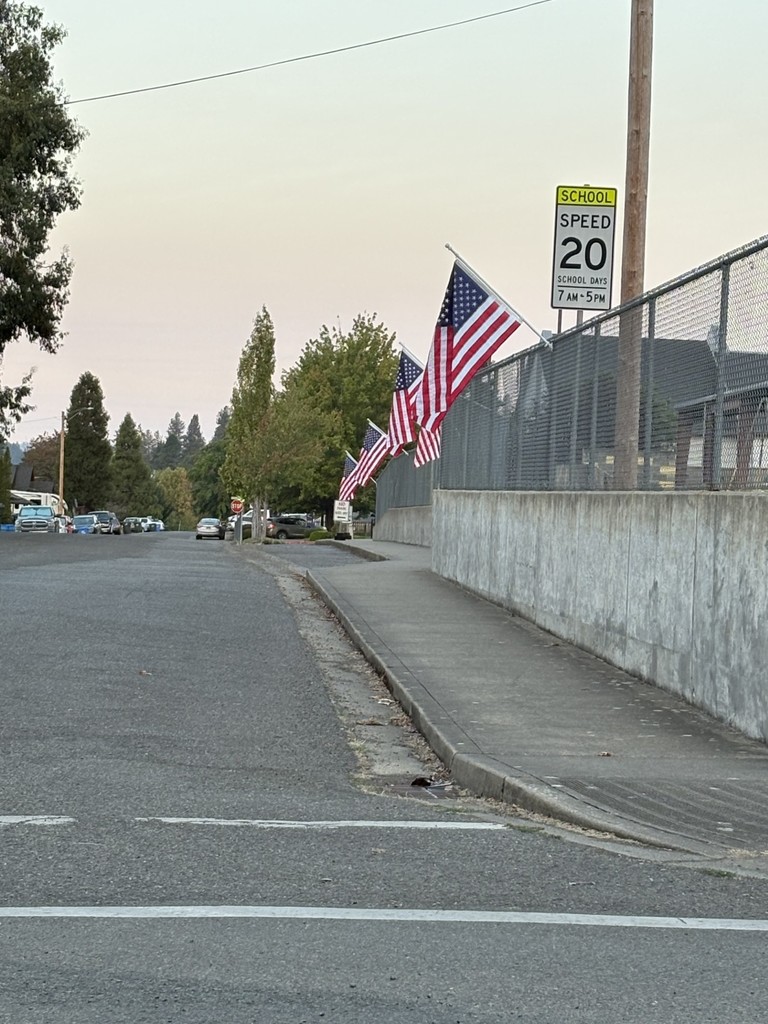 Flag 2