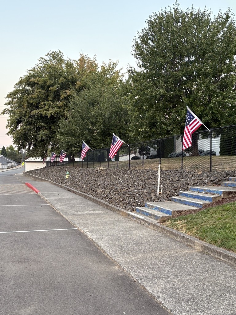 Flag 2
