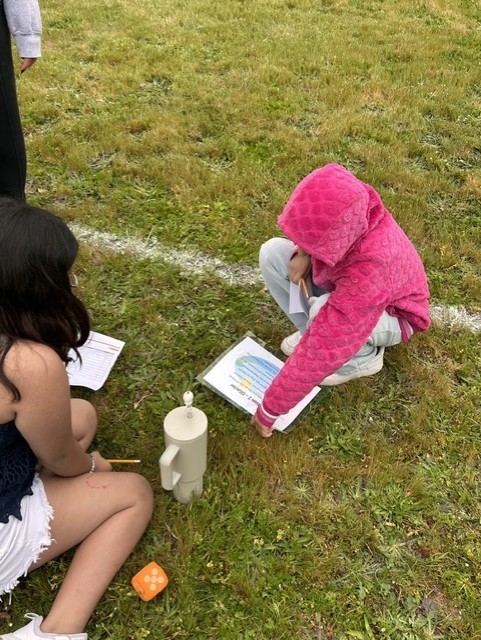 Outdoor school 