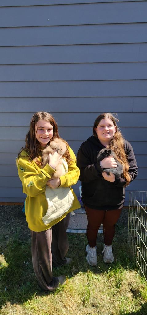 Bunnies
