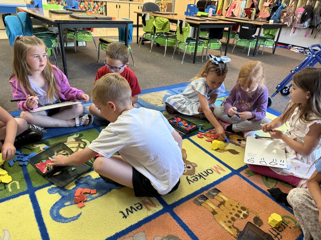 Photo of math in kindergarten 