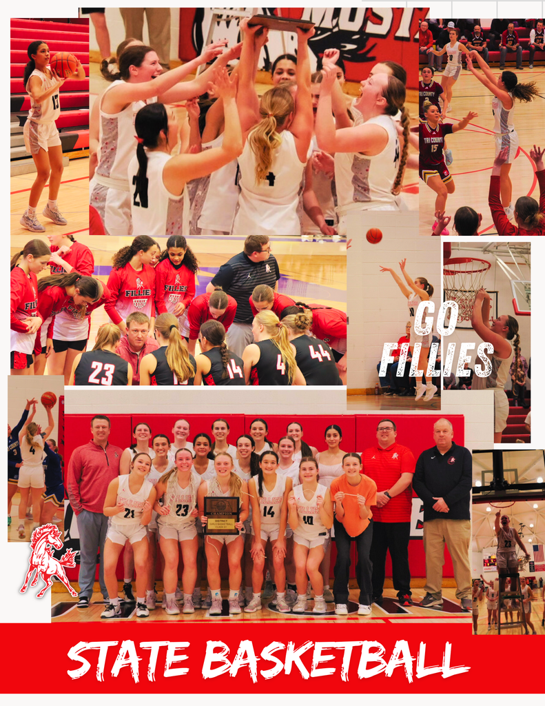 Sutton Girls State Basketball Photo Collage