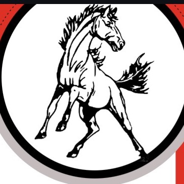 newsletter mustang image