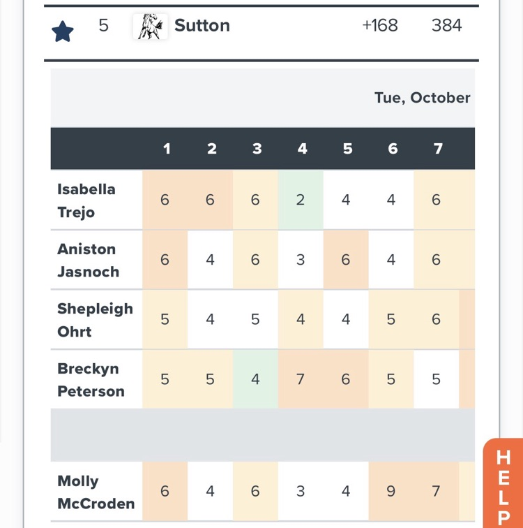 Sutton Golf State Results image 1