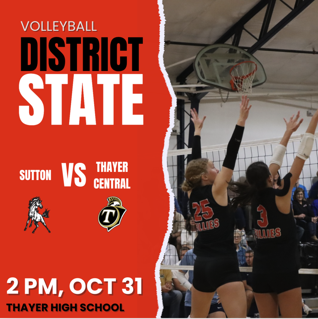 Dist volleyball image