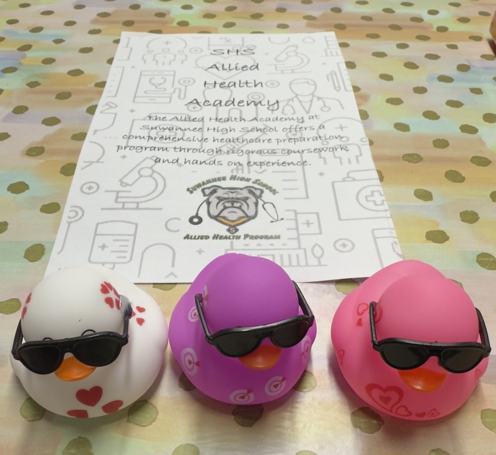 Allied Health at SHS is raising money with “Duck a Truck”