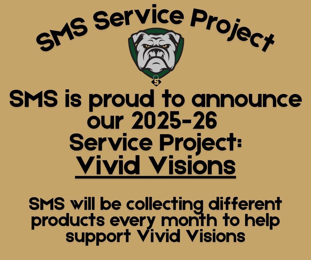 paper explaining service project to benefit vivid visions