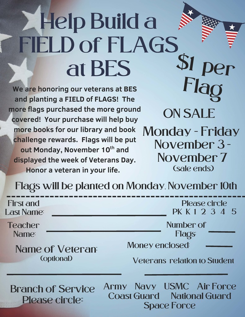 Field of Flags at BES