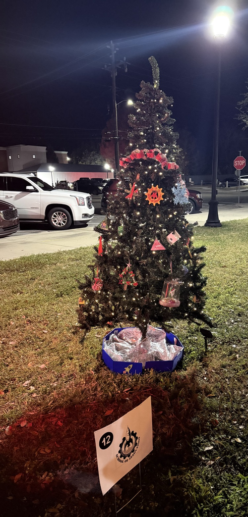 Pineview’s tree on display at Christmas on The Square
