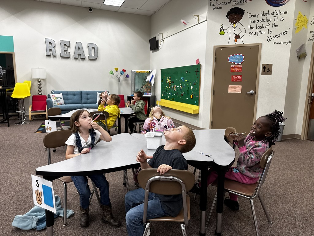 Students Launching their rockets