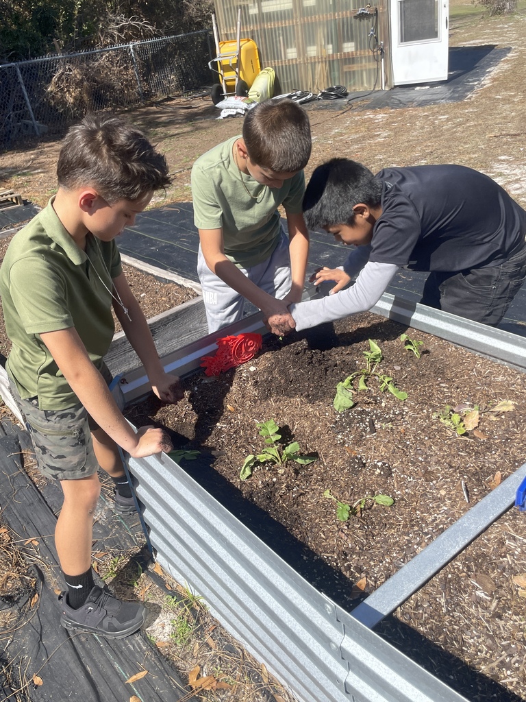 3rd grade students planting seedlings. 