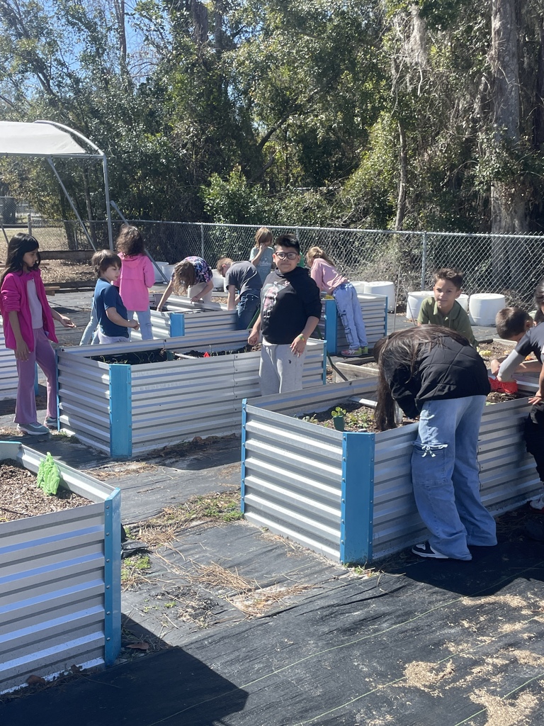 3rd grade students planting seedlings. 