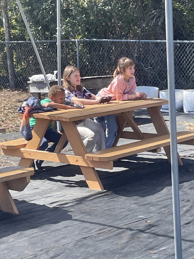 3rd grade students planting seedlings. 