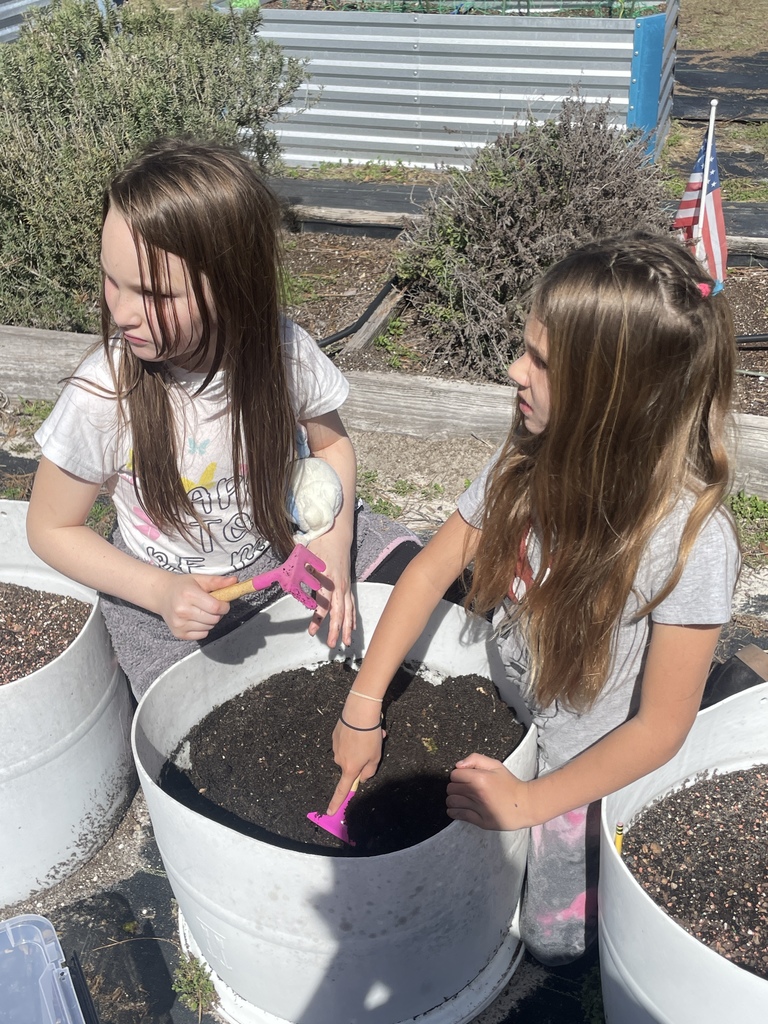 3rd grade students planting seedlings. 