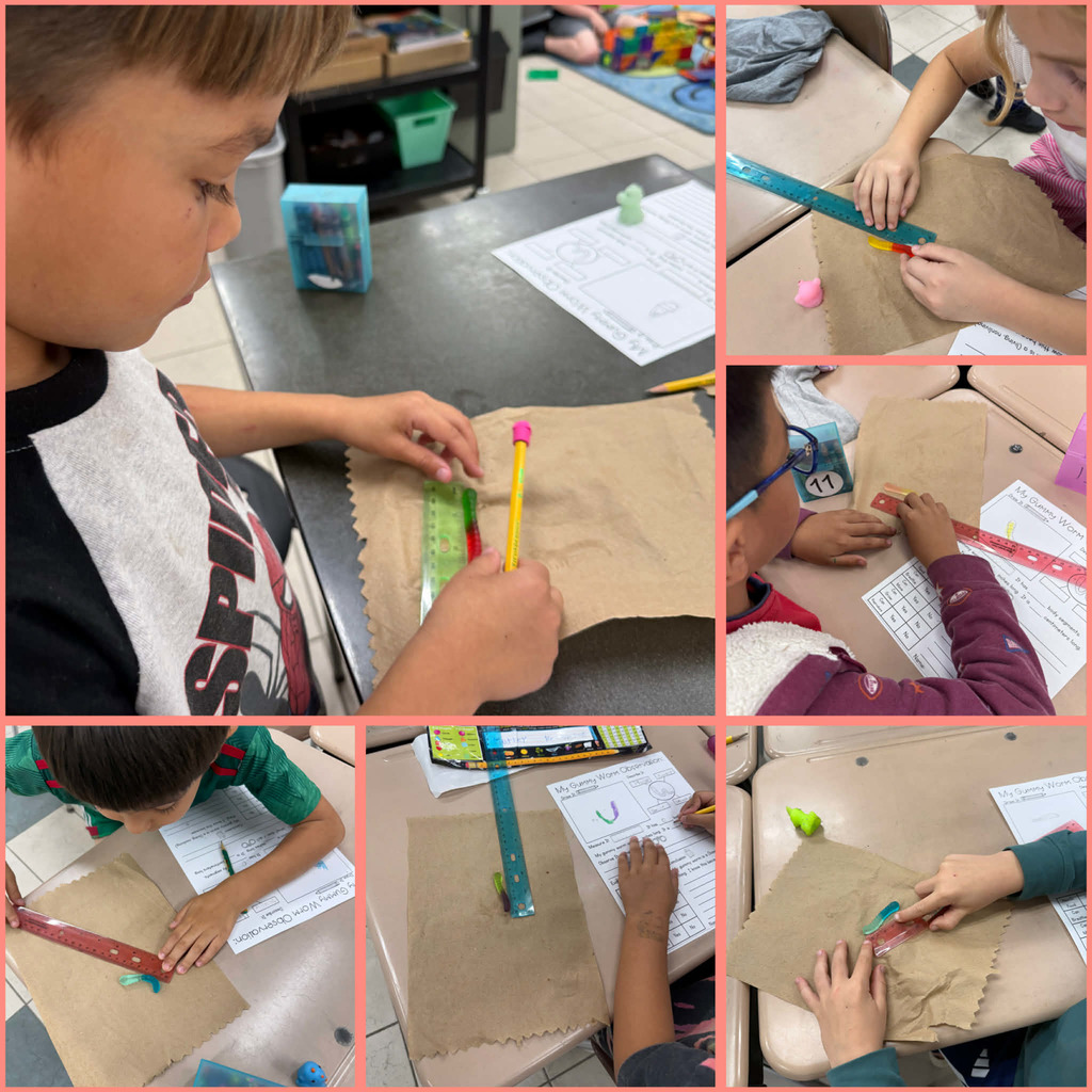 Students comparing living worms vs. gummy worms.