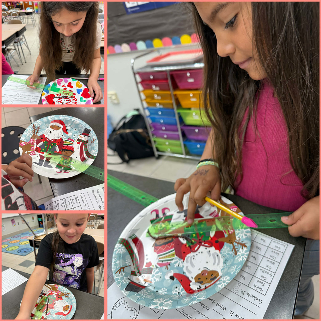 Students comparing living worms vs. gummy worms.