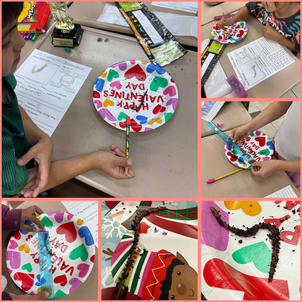 Students comparing living worms vs. gummy worms.